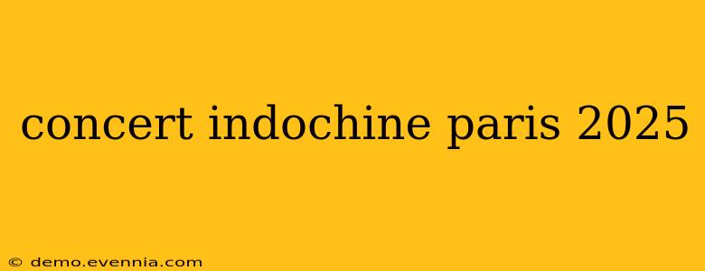 concert indochine paris 2025