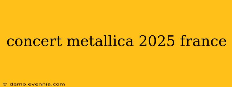 concert metallica 2025 france