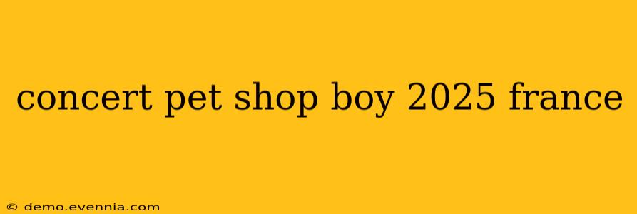 concert pet shop boy 2025 france