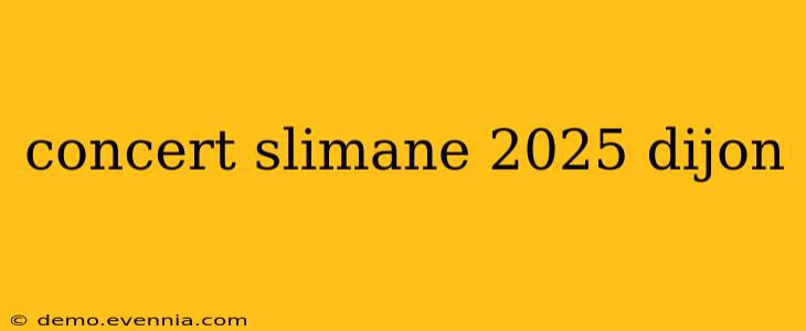 concert slimane 2025 dijon