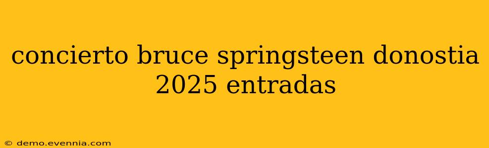 concierto bruce springsteen donostia 2025 entradas