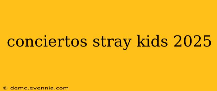 conciertos stray kids 2025