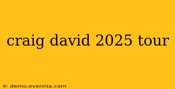 craig david 2025 tour