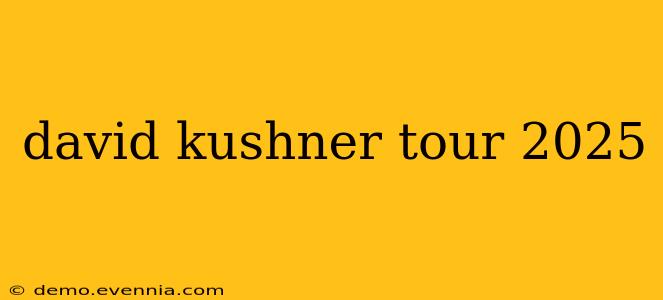 david kushner tour 2025