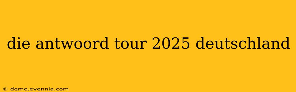 die antwoord tour 2025 deutschland