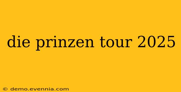 die prinzen tour 2025