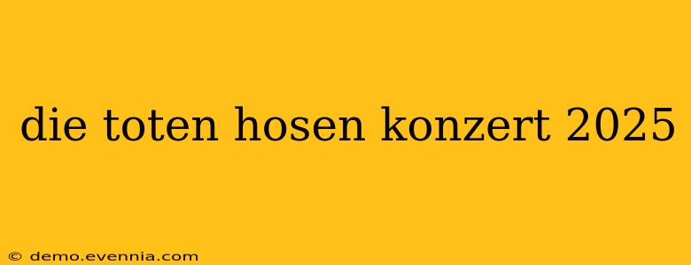 die toten hosen konzert 2025