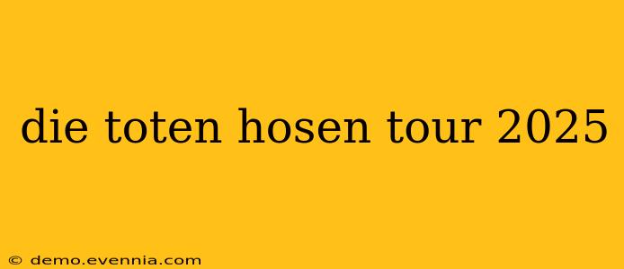 die toten hosen tour 2025