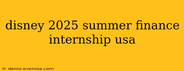 disney 2025 summer finance internship usa