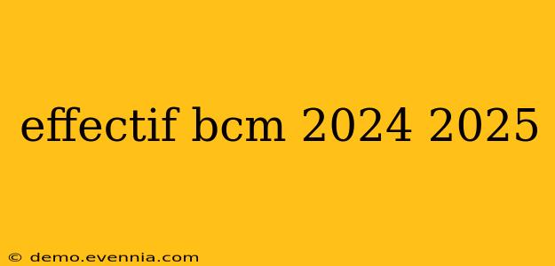 effectif bcm 2024 2025