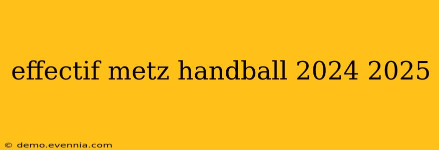 effectif metz handball 2024 2025