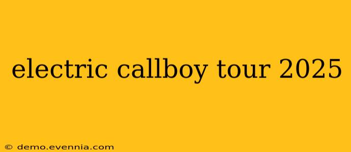 electric callboy tour 2025