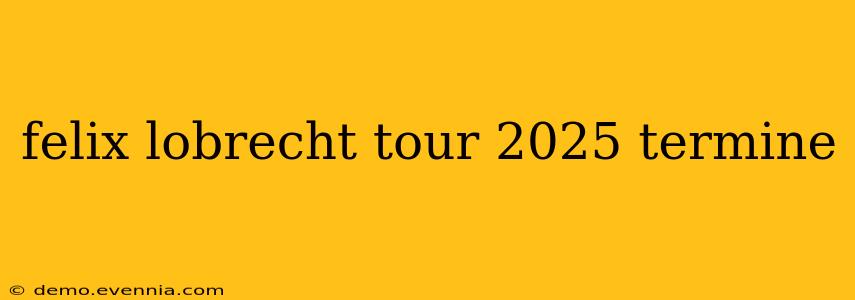 felix lobrecht tour 2025 termine