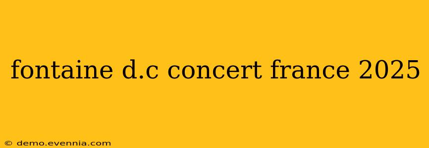 fontaine d.c concert france 2025