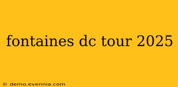 fontaines dc tour 2025