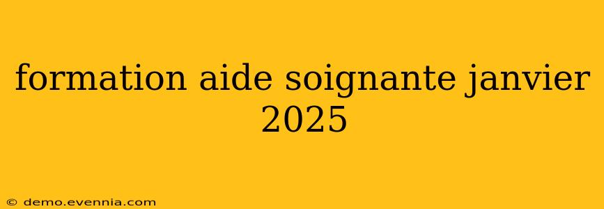 formation aide soignante janvier 2025