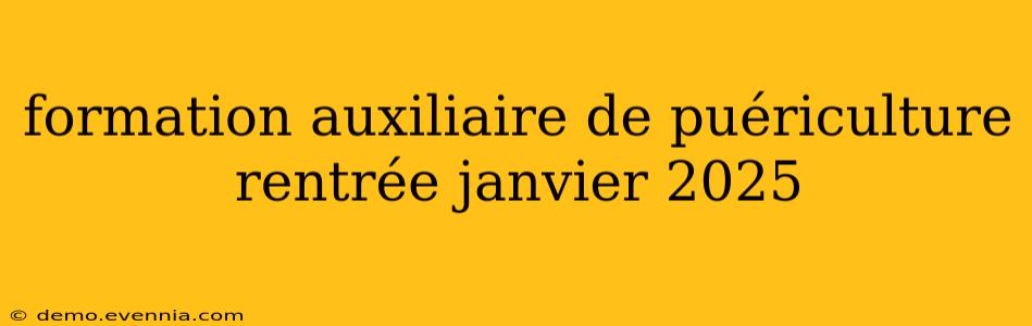 formation auxiliaire de puériculture rentrée janvier 2025