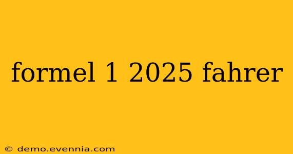 formel 1 2025 fahrer