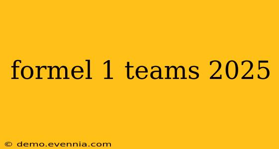 formel 1 teams 2025