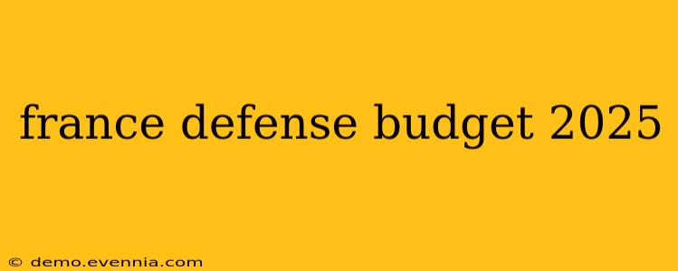 france defense budget 2025