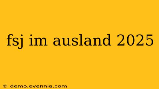 fsj im ausland 2025