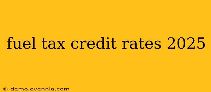 fuel tax credit rates 2025