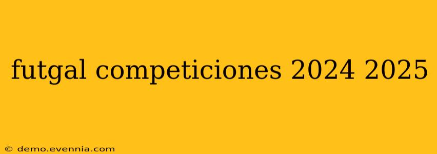 futgal competiciones 2024 2025