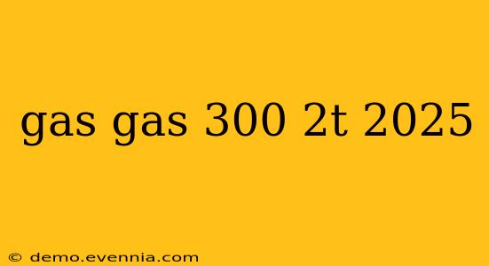 gas gas 300 2t 2025