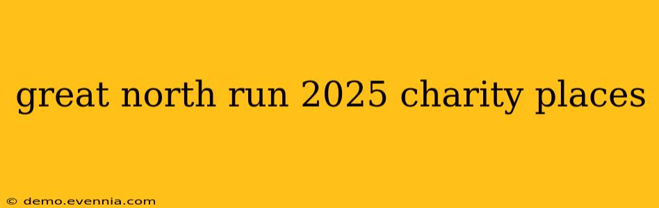 great north run 2025 charity places