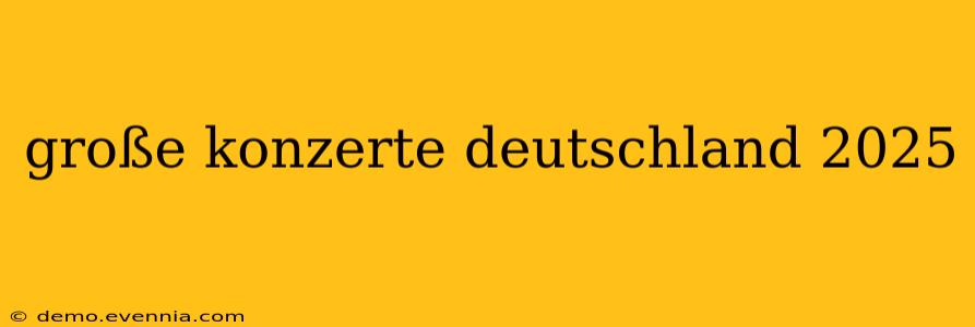 große konzerte deutschland 2025