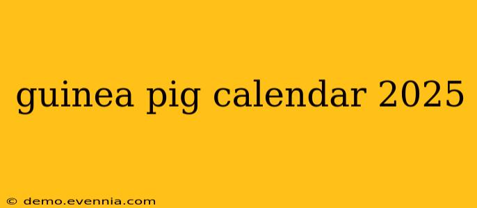 guinea pig calendar 2025