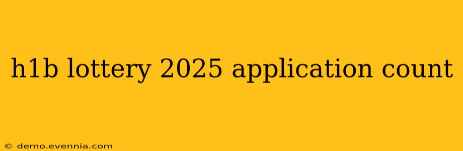 h1b lottery 2025 application count