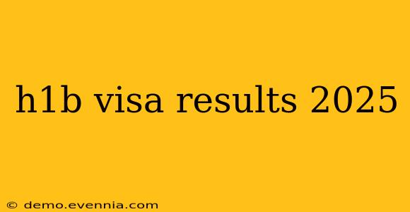 h1b visa results 2025