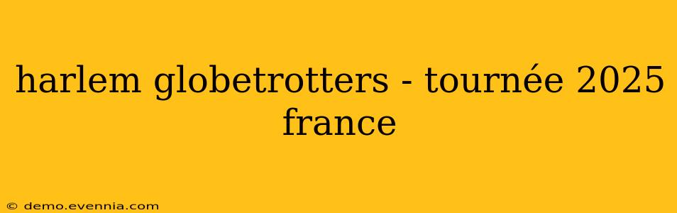 harlem globetrotters - tournée 2025 france