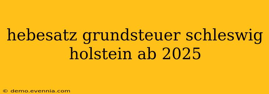 hebesatz grundsteuer schleswig holstein ab 2025