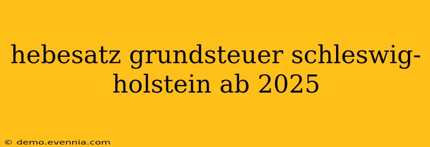 hebesatz grundsteuer schleswig-holstein ab 2025