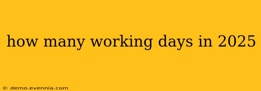 how many working days in 2025