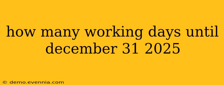 how many working days until december 31 2025