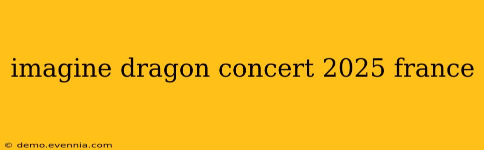 imagine dragon concert 2025 france