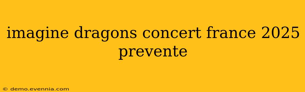 imagine dragons concert france 2025 prevente