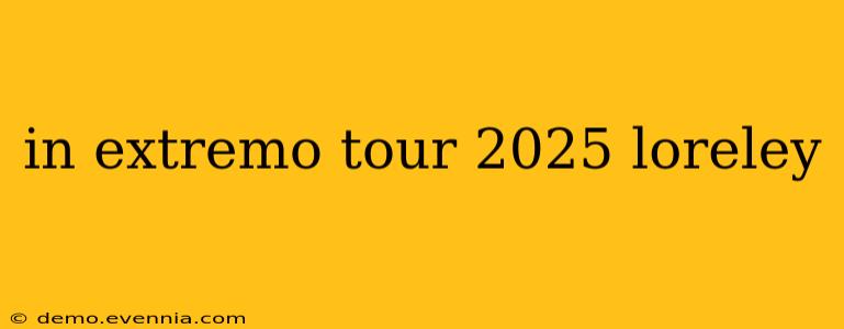 in extremo tour 2025 loreley