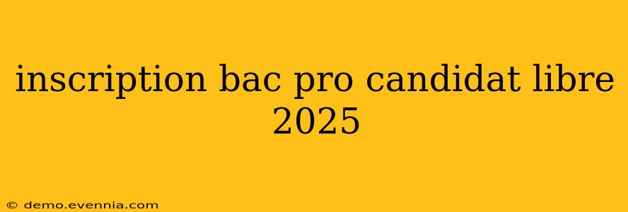 inscription bac pro candidat libre 2025