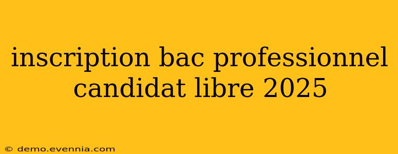 inscription bac professionnel candidat libre 2025