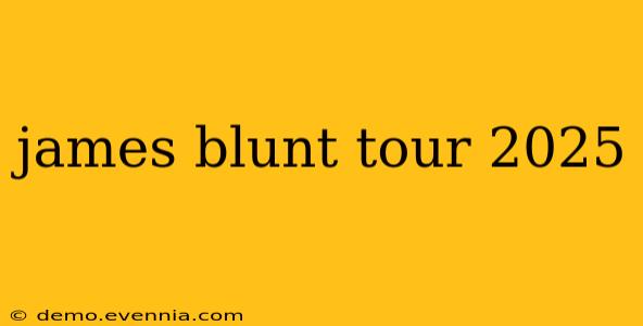 james blunt tour 2025