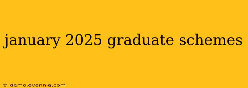 january 2025 graduate schemes