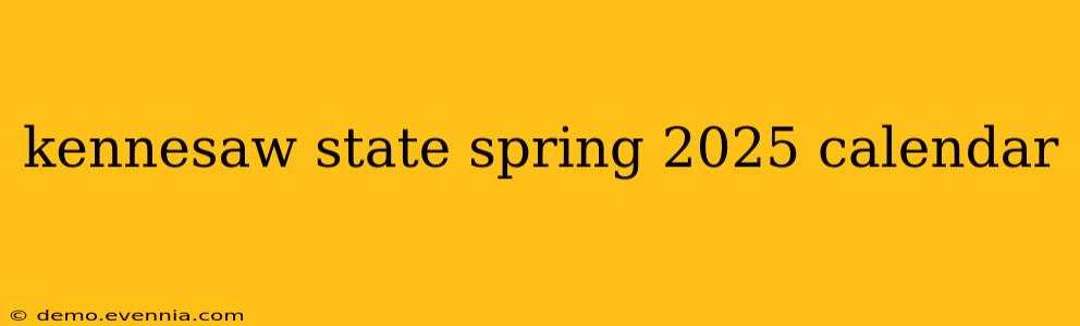 kennesaw state spring 2025 calendar