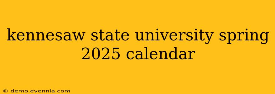 kennesaw state university spring 2025 calendar