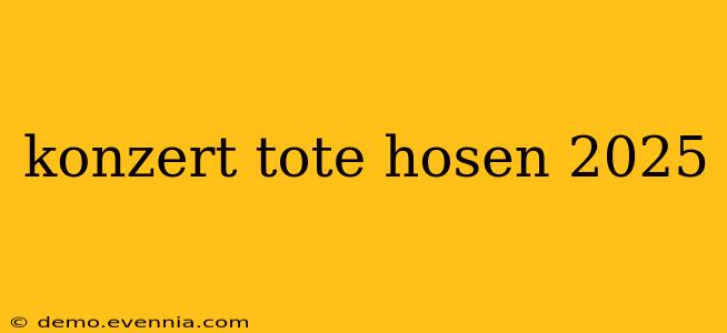 konzert tote hosen 2025