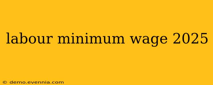 labour minimum wage 2025