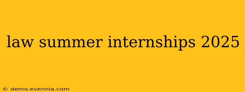 law summer internships 2025